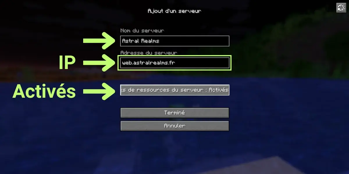 Le formulaire d'ajout de serveur rempli avec l'adresse d'Astral Realms